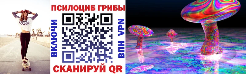 Купить  Козловка  Псилоцибиновые грибы мицелий 